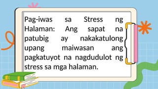Pag-iwas sa Stress ng
Halaman: Ang sapat na
patubig ay nakakatulong
upang maiwasan ang
pagkatuyot na nagdudulot ng
stress sa mga halaman.
 