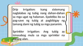 Drip Irrigation: Isang sistemang
naglalabas ng tubig nang dahan-dahan
sa mga ugat ng halaman. Epektibo ito sa
pag-save ng tubig at pagbibigay ng
tamang dami ng tubig sa mga pananim.
Sprinkler Irrigation: Ang tubig ay
isinasabog mula sa mga sprinkler na
parang ulan.
 