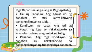 Mga Dapat Isaalang-alang sa Pagpapatubig
• Uri ng Pananim: Ang bawat uri ng
pananim ay may kanya-kanyang
pangangailangan sa tubig.
• Kondisyon ng Lupa: Ang uri at
kalagayan ng lupa ay nakakaapekto sa
kakayahan nitong mag-imbak ng tubig.
• Panahon: Ang mga kondisyon ng
panahon ay nakakaapekto sa
pangangailangan ng tubig ng mga pananim.
 