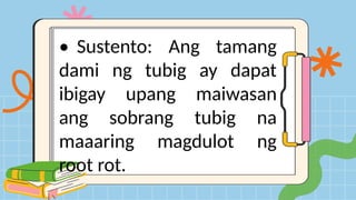 • Sustento: Ang tamang
dami ng tubig ay dapat
ibigay upang maiwasan
ang sobrang tubig na
maaaring magdulot ng
root rot.
 