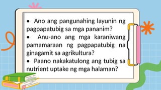 • Ano ang pangunahing layunin ng
pagpapatubig sa mga pananim?
• Anu-ano ang mga karaniwang
pamamaraan ng pagpapatubig na
ginagamit sa agrikultura?
• Paano nakakatulong ang tubig sa
nutrient uptake ng mga halaman?
 