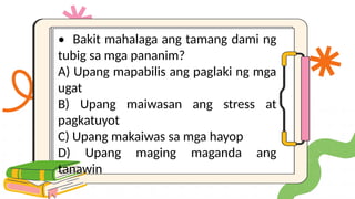 • Bakit mahalaga ang tamang dami ng
tubig sa mga pananim?
A) Upang mapabilis ang paglaki ng mga
ugat
B) Upang maiwasan ang stress at
pagkatuyot
C) Upang makaiwas sa mga hayop
D) Upang maging maganda ang
tanawin
 