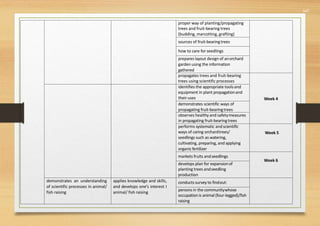 547
proper way of planting/propagating
trees and fruit-bearing trees
(budding, marcotting, grafting)
sources of fruit-bearingtrees
how to care for seedlings
prepares layout design of anorchard
garden using the information
gathered
propagates trees and fruit-bearing
trees using scientific processes
Week 4
identifies the appropriate toolsand
equipment in plant propagationand
their uses
demonstrates scientific ways of
propagating fruit-bearingtrees
observes healthy and safetymeasures
in propagating fruit-bearingtrees
performs systematic andscientific
ways of caring orchardtrees/
seedlings such as watering,
cultivating, preparing, and applying
organicfertilizer
Week 5
markets fruits andseedlings
Week 6
develops plan for expansionof
planting trees andseedling
production
demonstrates an understanding
of scientific processes in animal/
fish raising
applies knowledge and skills,
and develops one’s interest I
animal/ fish raising
conducts survey to findout:
persons in the communitywhose
occupation is animal (four-legged)/fish
raising
 