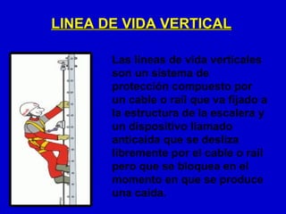 LINEA DE VIDA VERTICAL

       Las líneas de vida verticales
       son un sistema de
       protección compuesto por
       un cable o raíl que va fijado a
       la estructura de la escalera y
       un dispositivo llamado
       anticaída que se desliza
       libremente por el cable o raíl
       pero que se bloquea en el
       momento en que se produce
       una caída.
 