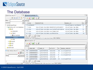 The Database




© 2009 EclipseSource | April 2009
 