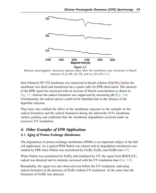 Dow Filmtech NF 270 membrane was immersed in bleach solution (NaClO3) before the
membrane was dried and transferred into a quartz tube for EPR observation. The intensity
of the EPR signal has increased with an increase of bleach concentration as shown in
Fig. 3.7, whereas the radical formation was suppressed by increasing pH (Fig. 3.8).
Unfortunately, the radical species could not be identified due to the absence of the
hyperfine structure.
They have also studied the effect of the membrane exposure to the sunlight on the
radical formation and the radical formation during the ultraviolet (UV) membrane
surface grafting and confirmed that the membrane degradation occurred under an
excessive UV irradiation.
4. Other Examples of EPR Applications
4.1 Aging of Proton Exchange Membranes
The degradation of proton exchange membranes (PEMs) is an important subject in the fuel
cell application. As a typical PEM Nafion was chosen and its degradation mechanism was
studied by EPR when Nafion was neutralized by Cu(II), Fe(II), and Fe(III) ions [15].
When Nafion was neutralized by FeSO4 and irradiated by UV, the signal from ROCF2CF2$
radical was detected and its intensity increased with the UV irradiation time (Fig. 3.9).
Remarkably, the signal was also observed even before the UV irradiation, indicating
radical formation in the presence of Fe(II) without UV irradiation. At the same time the
formation of Fe(III) was detected.
Figure 3.7
Electron paramagnetic resonance spectra taken after the membrane was immersed in bleach
solution of (a) 80, (b) 50, and (c) 20 v/v% [14].
Electron Paramagnetic Resonance (EPR) Spectroscopy 59
 