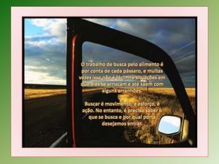 O trabalho de busca pelo alimento é por conta de cada pássaro, e muitas vezes isso não é fácil. Há situações em que eles se arriscam e até saem com alguns arranhões.Buscar é movimento, é esforço, é ação. No entanto, é preciso saber o que se busca e por qual porta desejamos entrar.
