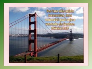 Por isso não sejais insensatos, mas entendei qual seja a vontade do Senhor. Efésios 5:17 