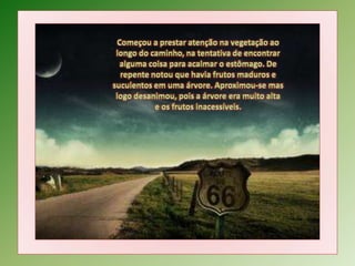 Começou a prestar atenção na vegetação ao longo do caminho, na tentativa de encontrar alguma coisa para acalmar o estômago. De repente notou que havia frutos maduros e suculentos em uma árvore. Aproximou-se mas logo desanimou, pois a árvore era muito alta e os frutos inacessíveis.