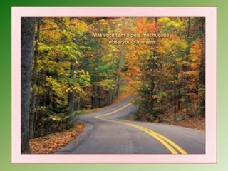 Mas você tem a pele machucada – 