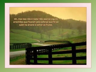 observou o homem.Ah, mas isso não é nada! São apenas alguns arranhões que ficaram pelo esforço que fiz ao subir na árvore e colher os frutos.