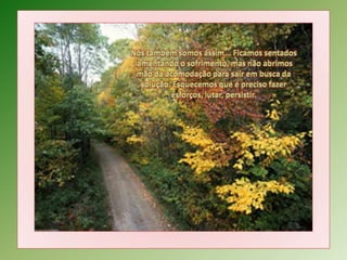 Nós também somos assim... Ficamos sentados lamentando o sofrimento, mas não abrimos mão da acomodação para sair em busca da solução. Esquecemos que é preciso fazer esforços, lutar, persistir.