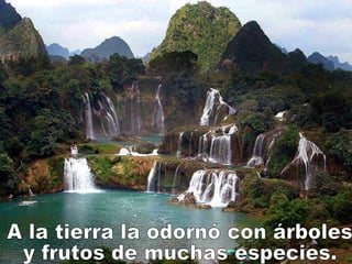 A la tierra la odornó con árboles  y frutos de muchas especies. 