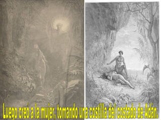 Luego creó a la mujer, tomando una costilla del costado de Adán. 