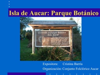 Isla de Aucar: Parque Botánico Expositora:  Cristina Barría Organización: Conjunto Folclórico Aucar 