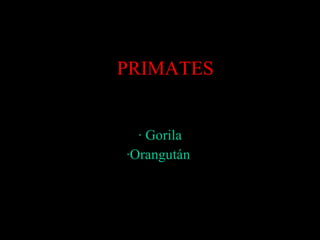 PRIMATES · Gorila ·Orangután  