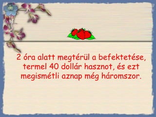 2 óra alatt megtérül a befektetése, termel 40 dollár hasznot, és ezt megismétli aznap még háromszor. Bihal 