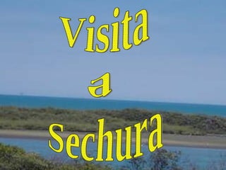 Visita  a Sechura 