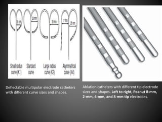 Ablation catheters with different tip electrode
sizes and shapes. Left to right, Peanut 8-mm,
2-mm, 4-mm, and 8-mm tip electrodes.
Deflectable multipolar electrode catheters
with different curve sizes and shapes.
 