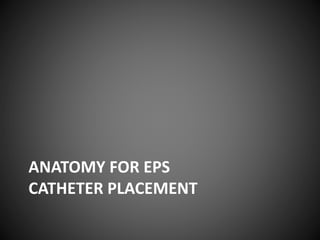 ANATOMY FOR EPS
CATHETER PLACEMENT
 