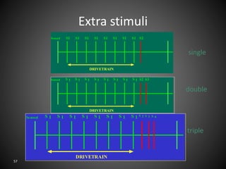 57
Extra stimuli
S 1 S 1 S 1 S 1 S 1 S 1 S 1 S 1 S 2Sensed
DRIVETRAIN
S 3 S 4
S1 S1 S1 S1 S1 S1 S1 S1 S2Sensed
DRIVETRAIN
S 1 S 1 S 1 S 1 S 1 S 1 S 1 S 1 S2Sensed
DRIVETRAIN
S3
single
double
triple
 