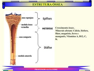 ESTRUTURA ÓSSEA
PROFESSOR ALEXANDRE
Crescimento ósseo .
Minerais afetam: Cálcio, fósforo,
flúor, magnésio, ferro e
manganês, Vitamina A, B12, C,
K.
 