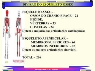 DIVISÃO DO ESQUELETO ÓSSEO
PROFESSOR ALEXANDRE
ESQUELETO AXIAL
OSSOS DO CRÂNIO E FACE – 22
HIÓIDE,
VÉRTEBRAS – 33
COSTELAS - 24
Detém a maioria das articulações cartilagíneas
ESQUELETO APENDICULAR –
MEMBROS SUPERIORES - 64
MEMBROS INFERIORES - 62
Detém as maiores articulações sinoviais.
TOTAL - 206
 
