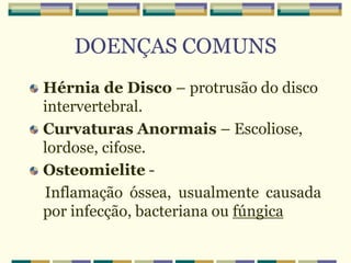DOENÇAS COMUNS
Hérnia de Disco – protrusão do disco
intervertebral.
Curvaturas Anormais – Escoliose,
lordose, cifose.
Osteomielite -
Inflamação óssea, usualmente causada
por infecção, bacteriana ou fúngica
 