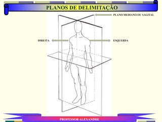 PLANOS DE DELIMITAÇÃO
PROFESSOR ALEXANDRE
PLANO MEDIANO OU SAGITAL
ESQUERDADIREITA
 