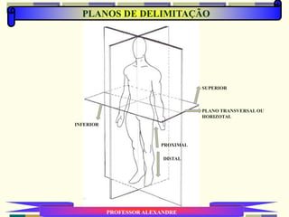PLANOS DE DELIMITAÇÃO
PROFESSOR ALEXANDRE
PLANO TRANSVERSAL OU
HORIZOTAL
INFERIOR
SUPERIOR
PROXIMAL
DISTAL
 