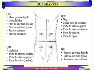 QUADRANTES
PROFESSOR ALEXANDRE
 
