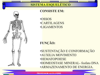SISTEMA ESQUELÉTICO
PROFESSOR ALEXANDRE
CONSISTE EM:
•OSSOS
•CARTILAGENS
•LIGAMENTOS
FUNÇÃO:
•SUSTENTAÇÃO E CONFORMAÇÃO
•AUXILIA MOVIMENTO
•HEMATOPOIESE
•HOMEOSTASE MINERAL- fosfato DNA
•ARMAZENAMENTO DE ENERGIA.
 