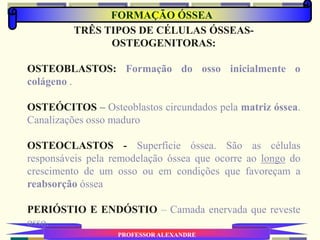FORMAÇÃO ÓSSEA
PROFESSOR ALEXANDRE
TRÊS TIPOS DE CÉLULAS ÓSSEAS-
OSTEOGENITORAS:
OSTEOBLASTOS: Formação do osso inicialmente o
colágeno .
OSTEÓCITOS – Osteoblastos circundados pela matriz óssea.
Canalizações osso maduro
OSTEOCLASTOS - Superfície óssea. São as células
responsáveis pela remodelação óssea que ocorre ao longo do
crescimento de um osso ou em condições que favoreçam a
reabsorção óssea
PERIÓSTIO E ENDÓSTIO – Camada enervada que reveste
osso.
 