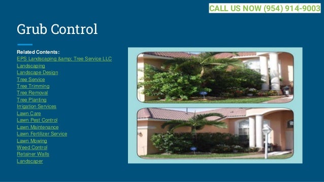 Tree Removal Services Miami, Broward, Palm Beach