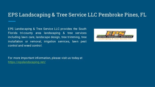 Tree Services Pembroke Pines - Affordable Tree Service: Tree Trimming,  Cutting, Pruning and Tree Removal, with the Stump Removal and Grinned,  Planting and Landscape.