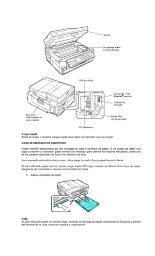 Cargar papel
Antes de copiar o imprimir, cargue papel para el tipo de impresión que va a hacer.
Carga de papel para los documentos
Puede imprimir documentos en una variedad de tipos y tamaños de papel. Si se acaba de hacer una
copia o imprimir un borrador, papel normal. Sin embargo, para obtener los mejores resultados, utilice uno
de los papeles especiales de Epson de inyección de tinta.
Para impresión automática a dos caras, utilice papel normal o Epson papel blanco brillante.
Si está utilizando papel normal, puede cargar hasta 250 hojas, cuando se utilizan otros tipos de papel,
asegúrese de comprobar el número recomendado de hojas.
1. Saque la bandeja de papel.
Nota:
Si está utilizando papel de tamaño legal, extienda la bandeja de papel presionando la lengüeta y tirando
del extremo de la cinta, como se muestra a continuación.
 