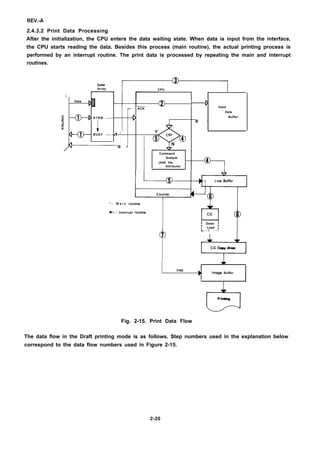 REV.-A
2.4.3.2 Print Data Processing
After the initialization, the CPU enters the data waiting state. When data is input from the interface,
the CPU starts reading the data. Besides this process (main routine), the actual printing process is
performed by an interrupt routine. The print data is processed by repeating the main and interrupt
routines.
Array

CPU
Data
@- —D
— ACK
Input
Data
5
–m ~
STRB -----
$ D @ -
Buffer
~
2
t
* BUSY ---- A *
@ J
Command
Analyze
(Add the
9
4
Attribute)
* : M a i n routi”e
- : Interrupt ro”tine
(!)7
fiACG 6
; Down I
~ Load ~
- - r - - -
eCG Copy Araa
+
FIRE
P
Imaga Buffer
I I
oPrinting
Fig. 2-15. Print Data Flow
The data flow in the Draft printing mode is as follows. Step numbers used in the explanation below
correspond to the data flow numbers used in Figure 2-15.
2-20
 