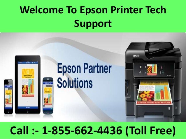 Epson Printer Help Desk Number 1 855 662 4436 Epson Pinter Support Co