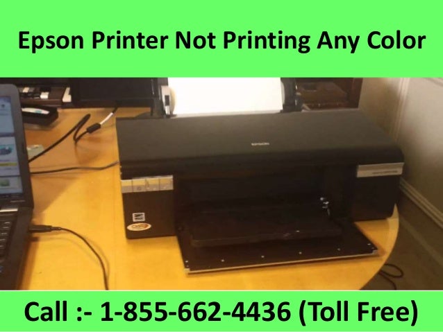 Epson Printer Help Desk Number 1 855 662 4436 Epson Pinter Support Co