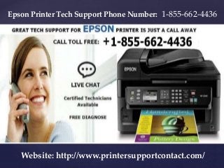 {
Epson Printer Tech Support Phone Number: 1-855-662-4436
Website: http://www.printersupportcontact.com/
 