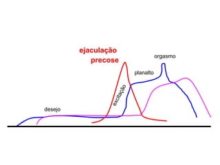 desejo excitaç ão orgasmo planalto ejaculaç ão  precose 
