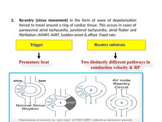 Electrophysiological study for medical students part 1.pptx