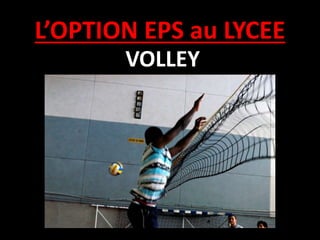 L’OPTION EPS au LYCEE
VOLLEY
 