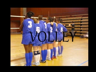 VOLLEY
 