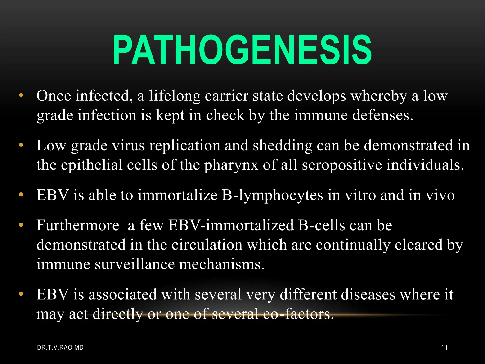 PATHOGENESIS
• Once infected, a lifelong carrier state develops whereby a low
grade infection is kept in check by the immune defenses.
• Low grade virus replication and shedding can be demonstrated in
the epithelial cells of the pharynx of all seropositive individuals.
• EBV is able to immortalize B-lymphocytes in vitro and in vivo
• Furthermore a few EBV-immortalized B-cells can be
demonstrated in the circulation which are continually cleared by
immune surveillance mechanisms.
• EBV is associated with several very different diseases where it
may act directly or one of several co-factors.
DR.T.V.RAO MD 11