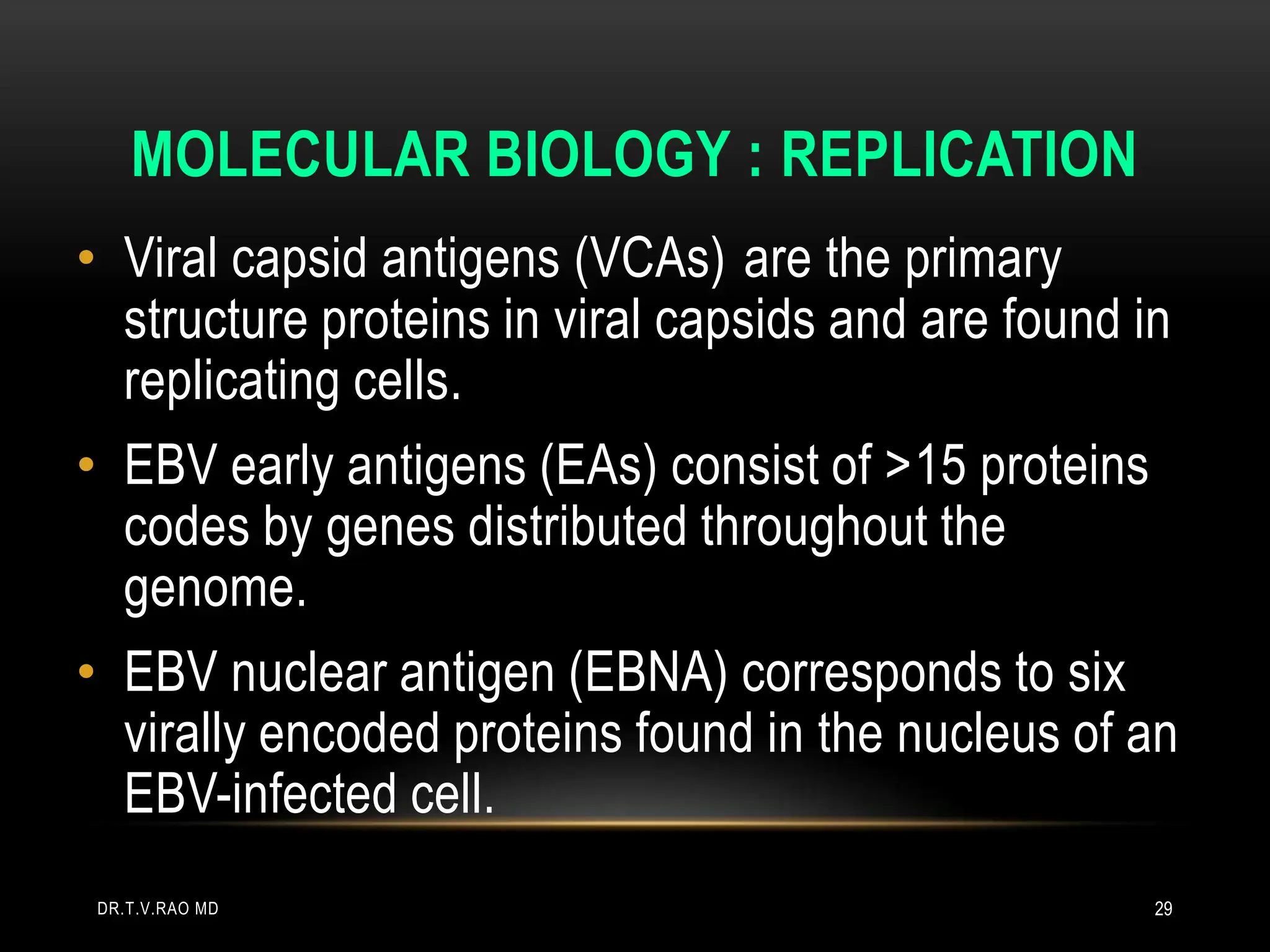 MOLECULAR BIOLOGY : REPLICATION
• Viral capsid antigens (VCAs) are the primary
structure proteins in viral capsids and are found in
replicating cells.
• EBV early antigens (EAs) consist of >15 proteins
codes by genes distributed throughout the
genome.
• EBV nuclear antigen (EBNA) corresponds to six
virally encoded proteins found in the nucleus of an
EBV-infected cell.
DR.T.V.RAO MD 29