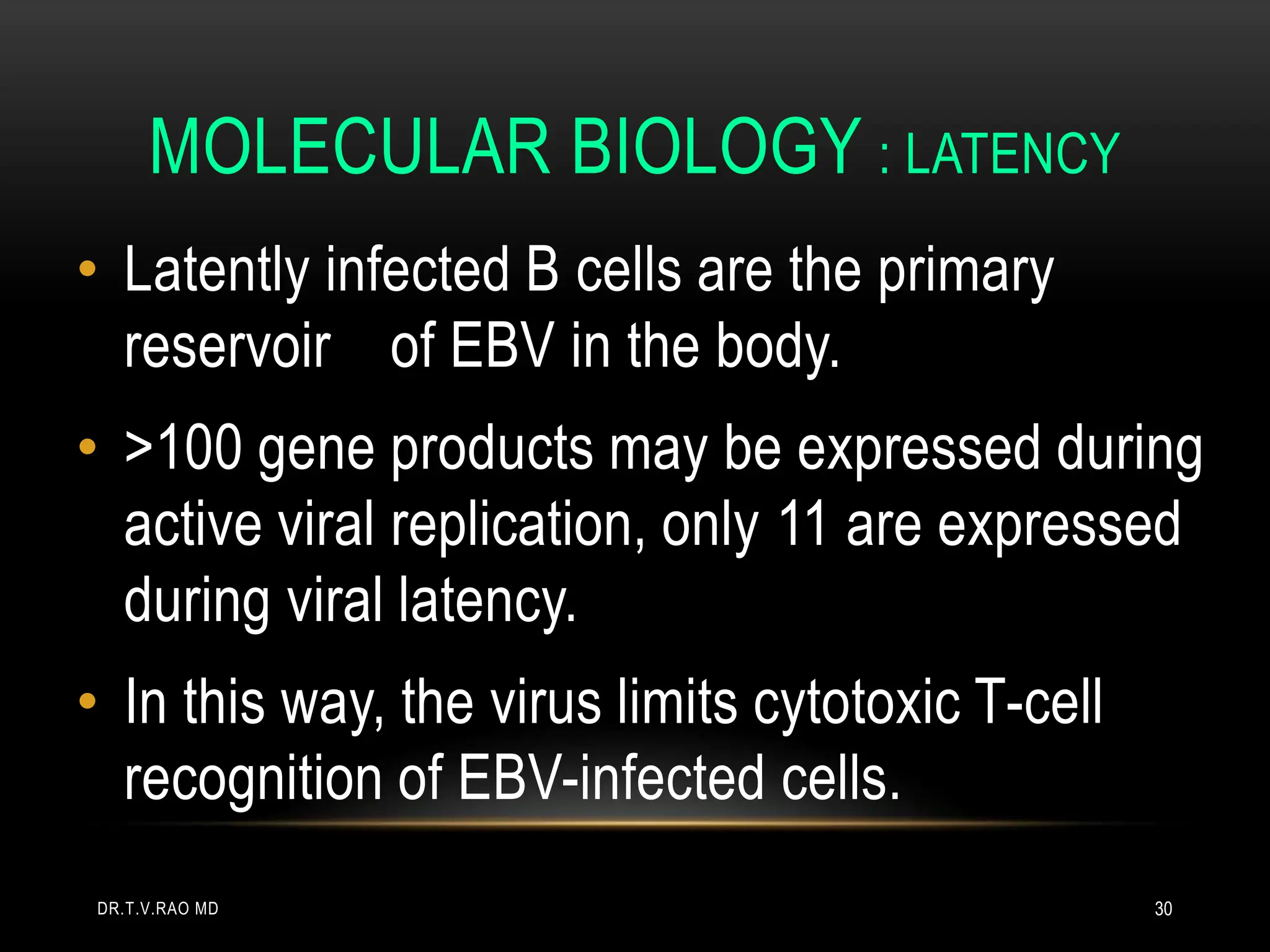 MOLECULAR BIOLOGY : LATENCY
• Latently infected B cells are the primary
reservoir of EBV in the body.
• >100 gene products may be expressed during
active viral replication, only 11 are expressed
during viral latency.
• In this way, the virus limits cytotoxic T-cell
recognition of EBV-infected cells.
DR.T.V.RAO MD 30
