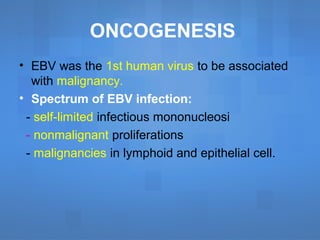 ONCOGENESIS
• EBV was the 1st human virus to be associated
with malignancy.
• Spectrum of EBV infection:
- self-limited infectious mononucleosi
- nonmalignant proliferations
- malignancies in lymphoid and epithelial cell.
 
