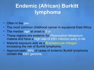 Endemic (African) Burkitt
lymphoma
• Often in the jaw
• The most common childhood cancer in equatorial East Africa
• The median age at onset is 5 yr.
• These regions are endemic for Plasmodium falciparum
malaria and have a high rate of EBV infection early in life.
• Malarial exposure acts as a B-lymphocyte mitogen
increasing the risk of Burkitt lymphoma.
• Approximately 98% of cases of endemic Burkitt lymphoma
contain the EBV genome.
 