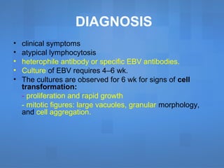 DIAGNOSIS
• clinical symptoms
• atypical lymphocytosis
• heterophile antibody or specific EBV antibodies.
• Culture of EBV requires 4–6 wk.
• The cultures are observed for 6 wk for signs of cell
transformation:
- proliferation and rapid growth
- mitotic figures: large vacuoles, granular morphology,
and cell aggregation.
 
